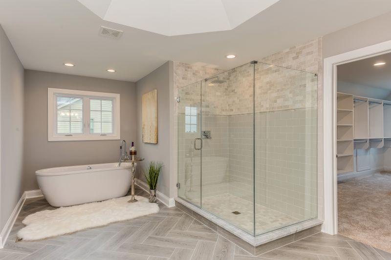 Contemporary walk-in shower with glass enclosure
