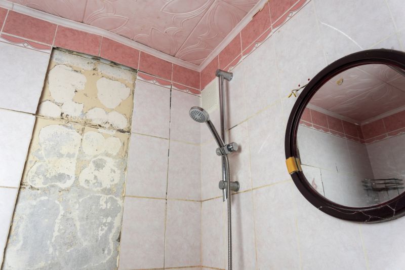 Top Shower Remodeling Companies in Georgetown, TX