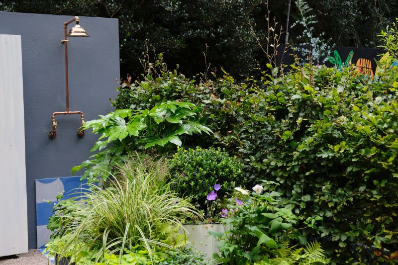 Top Shower Remodeling Companies in Georgetown, TX